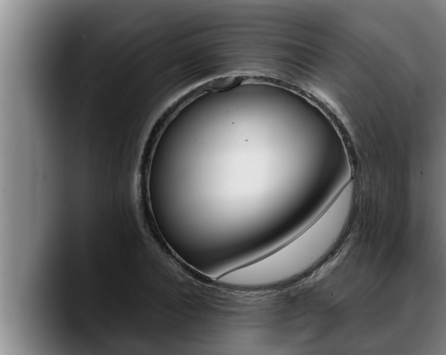 X0000090410928200707201057