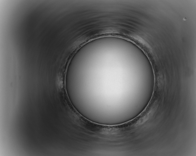 X0000090410929200707201057