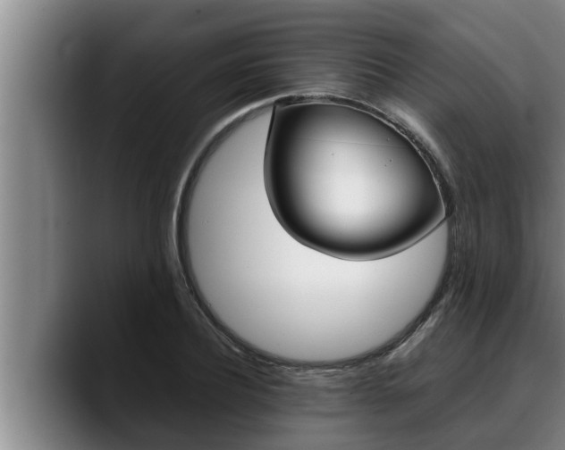 X0000090410932200707201057