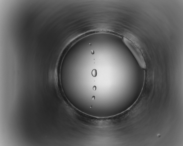 X0000090410936200707201058