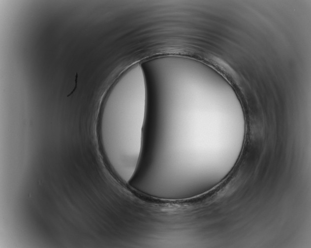 X0000090410938200707201058