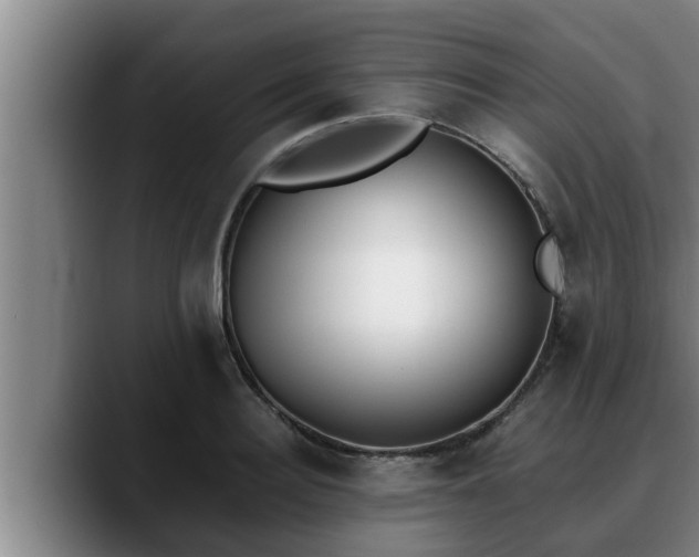 X0000090410940200707201058