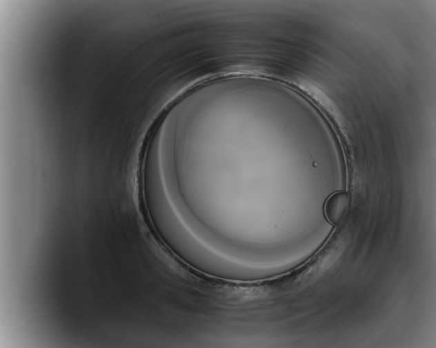 X0000090410941200707201058