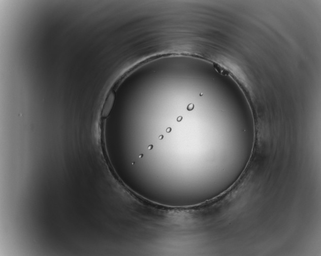 X0000090410944200707201058