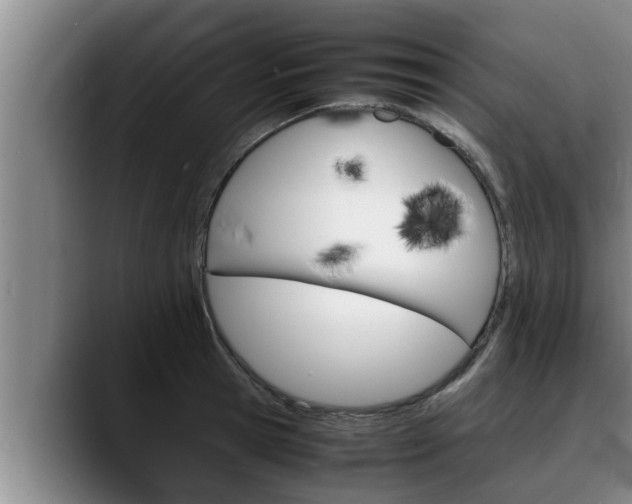 X0000090410945200707201058