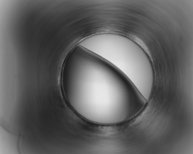 X0000090410946200707201058