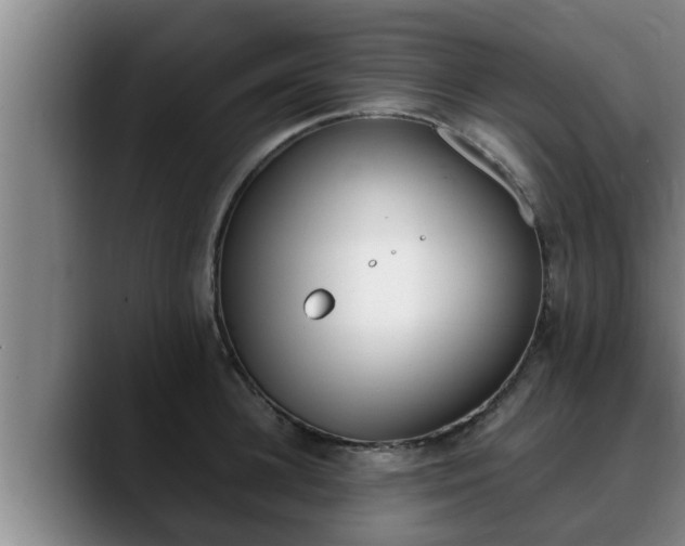 X0000090410948200707201058