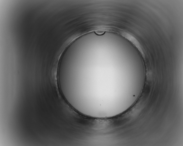 X0000090410954200707201058