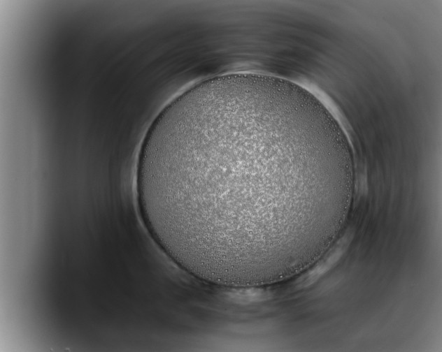 X0000090410957200707201058