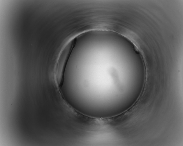 X0000090410960200707201058
