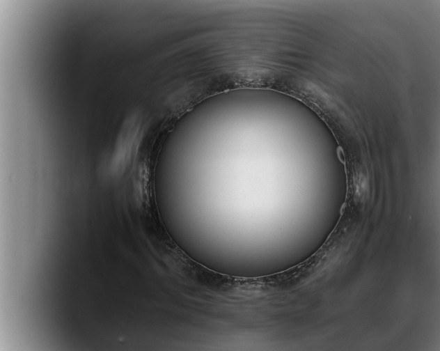 X0000090410964200707201057