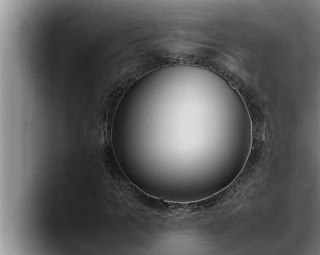 X0000090410965200707201057