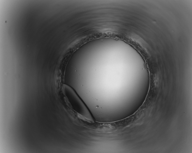 X0000090410968200707201057