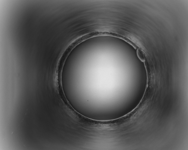 X0000090410976200707201057