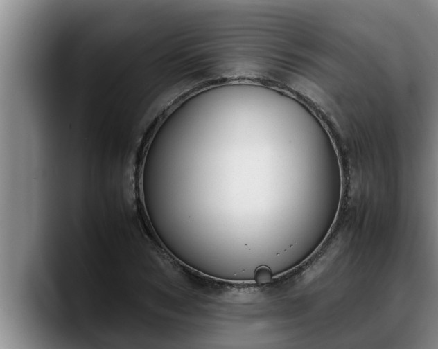 X0000090410978200707201057