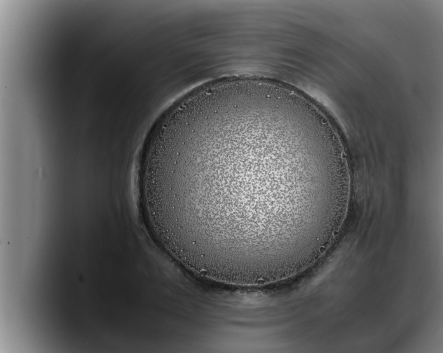 X0000090410983200707201057