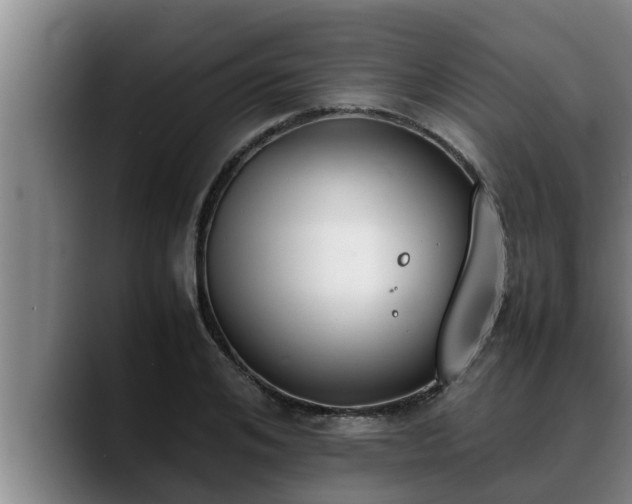X0000090410984200707201057