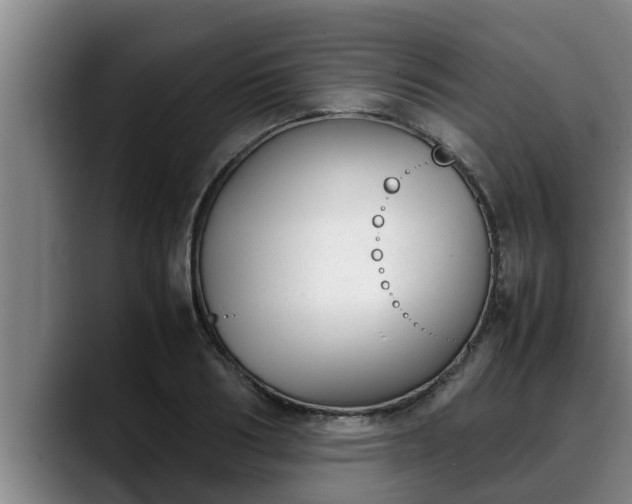 X0000090410986200707201057