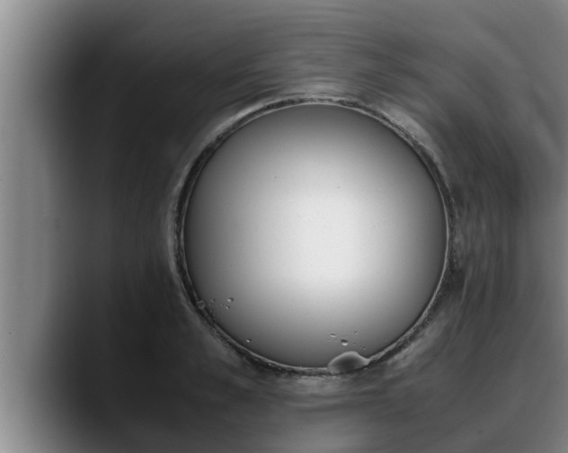 X0000090410989200707201057
