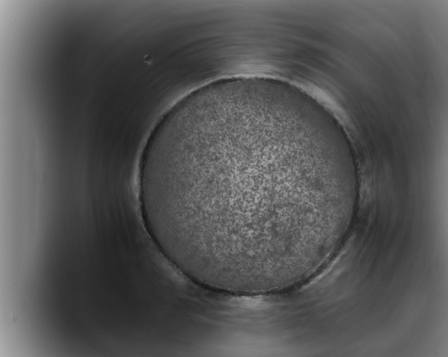 X0000090410990200707201057