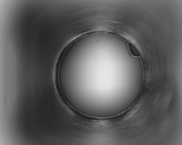X0000090410991200707201057