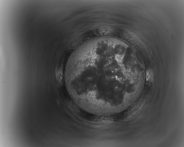 X0000090411011200707201056