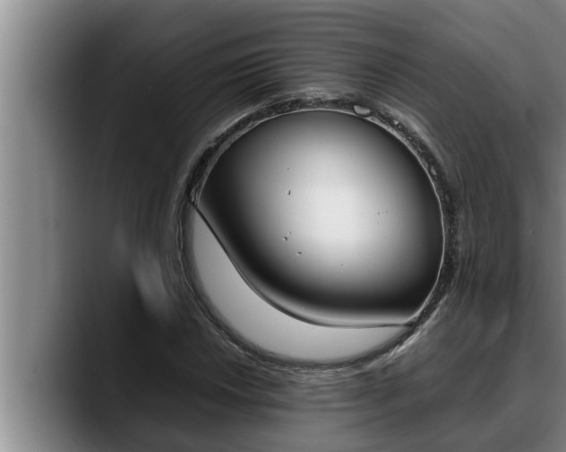 X0000090411018200707201056