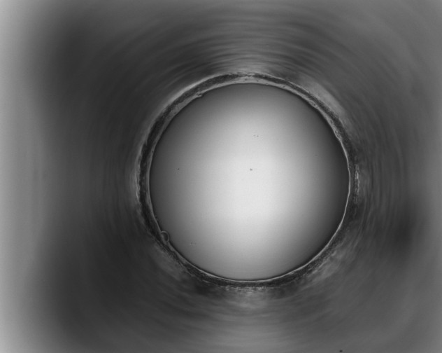 X0000090411020200707201056