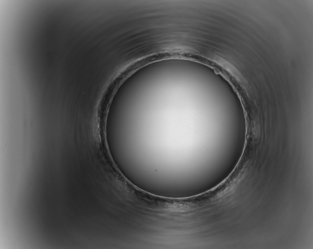 X0000090411022200707201056