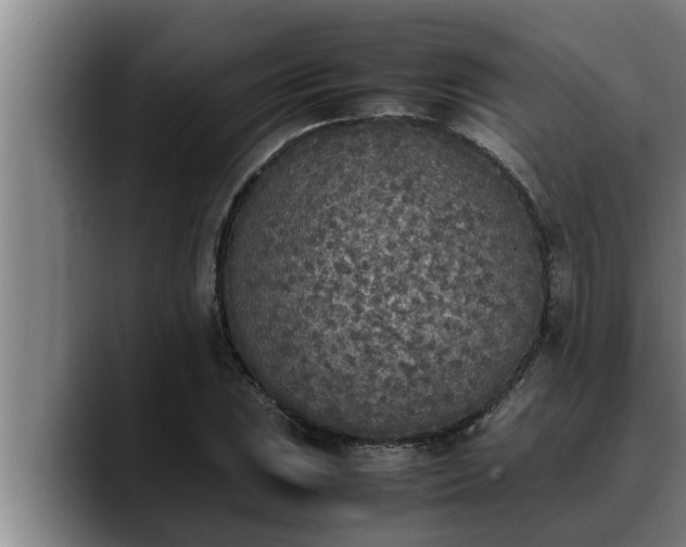 X0000090411023200707201056