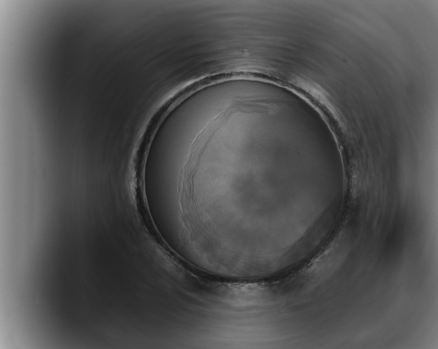 X0000090411024200707201056