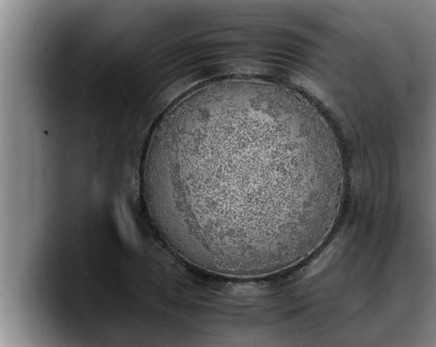 X0000090411025200707201056