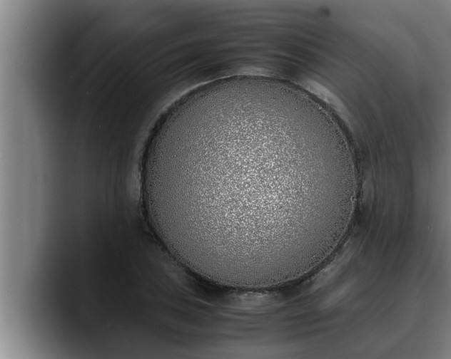 X0000090411027200707201056