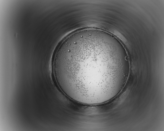 X0000090411028200707201056