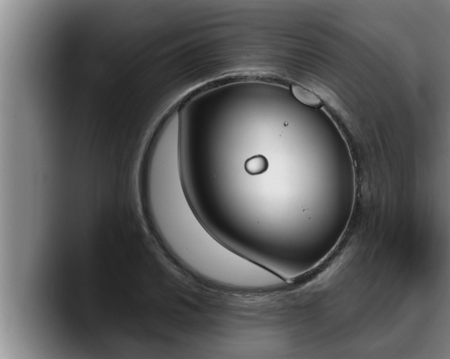 X0000090411030200707201056