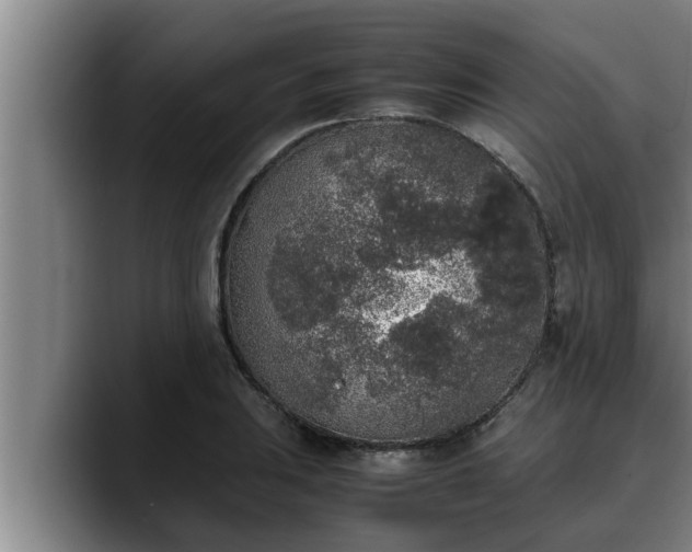 X0000090411031200707201056