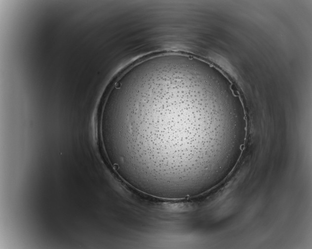 X0000090411032200707201056