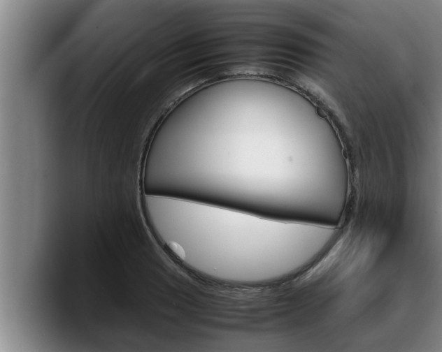 X0000090411033200707201056