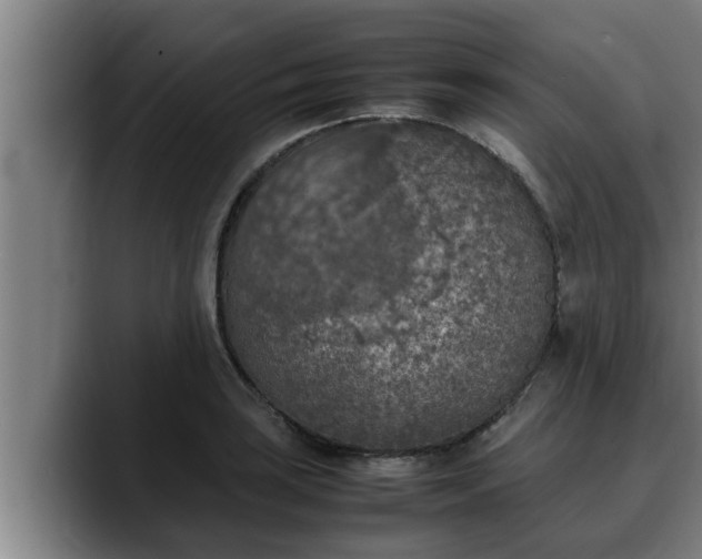X0000090411035200707201056