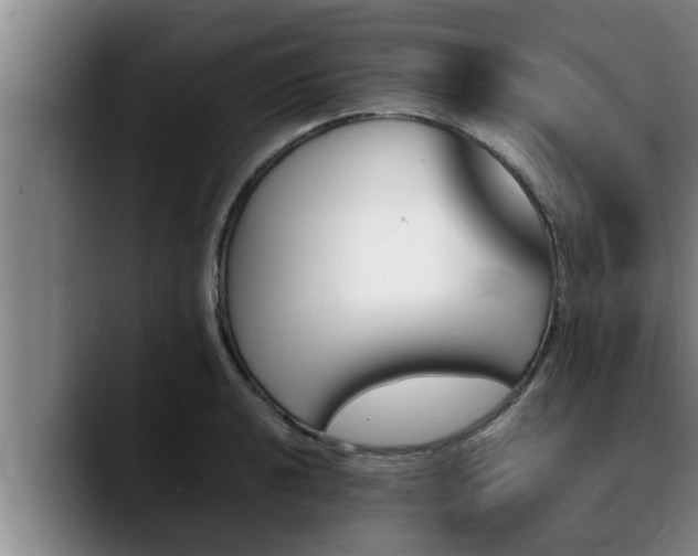 X0000090411040200707201056