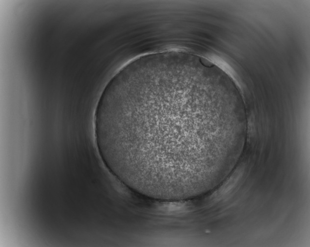 X0000090411047200707201057