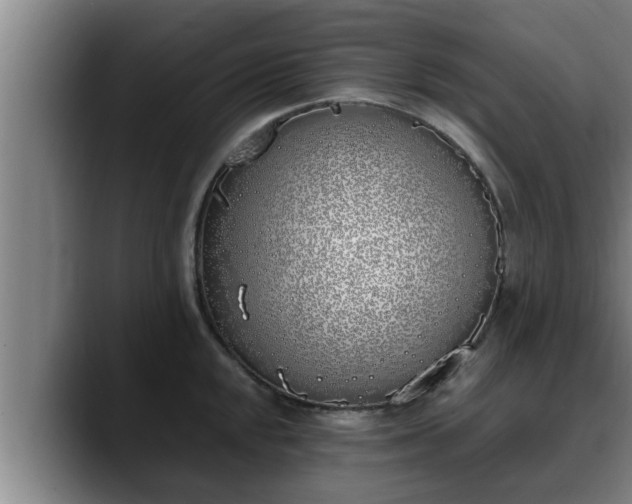 X0000090411048200707201057