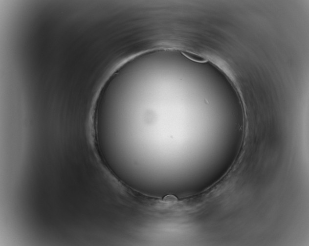 X0000090411056200707201057