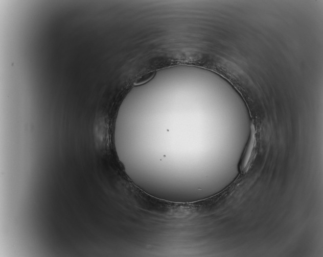 X0000090411058200707201056