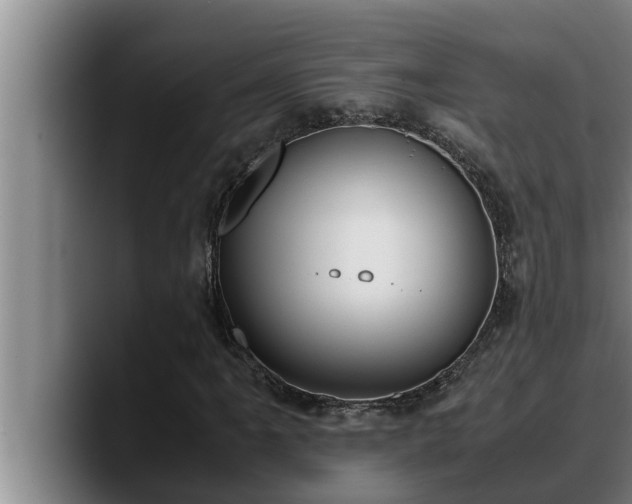 X0000090411061200707201056