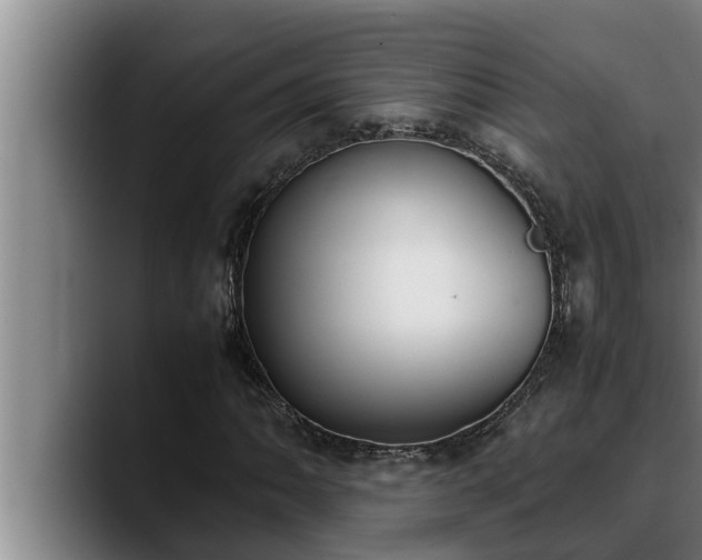 X0000090411062200707201056
