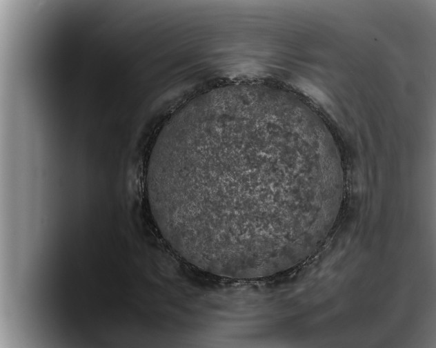 X0000090411063200707201056