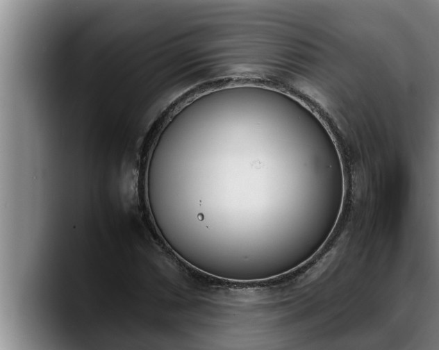 X0000090411066200707201056