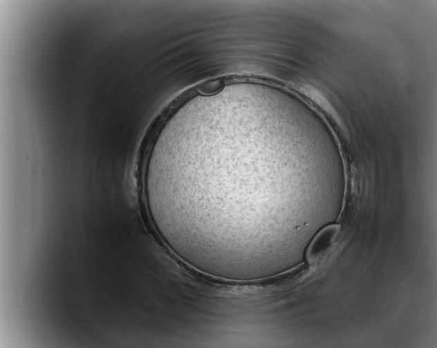 X0000090411068200707201056
