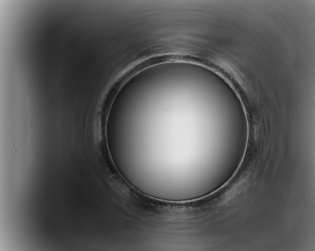 X0000090411069200707201056